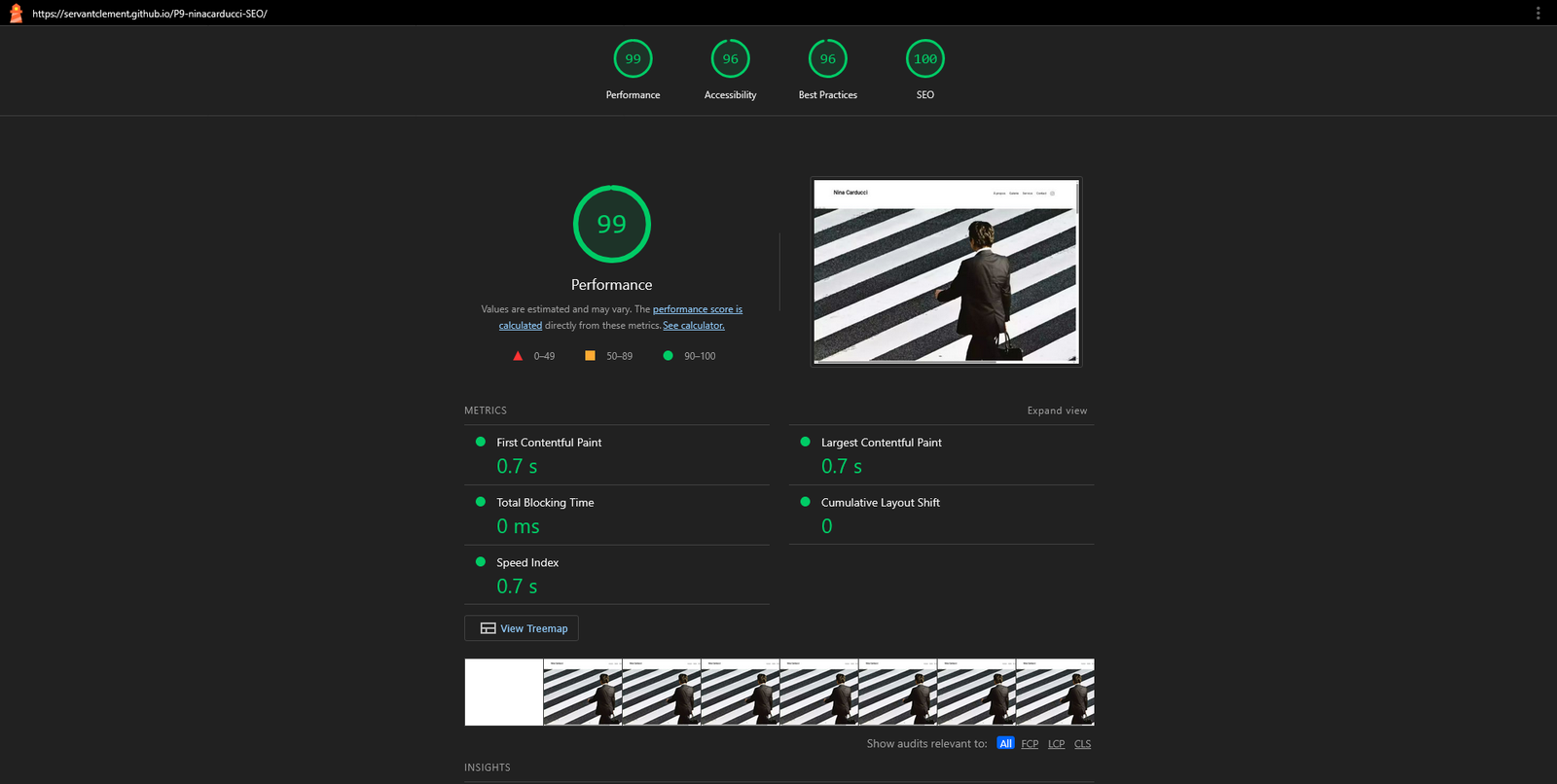Aperçu du SEO Nina Carducci